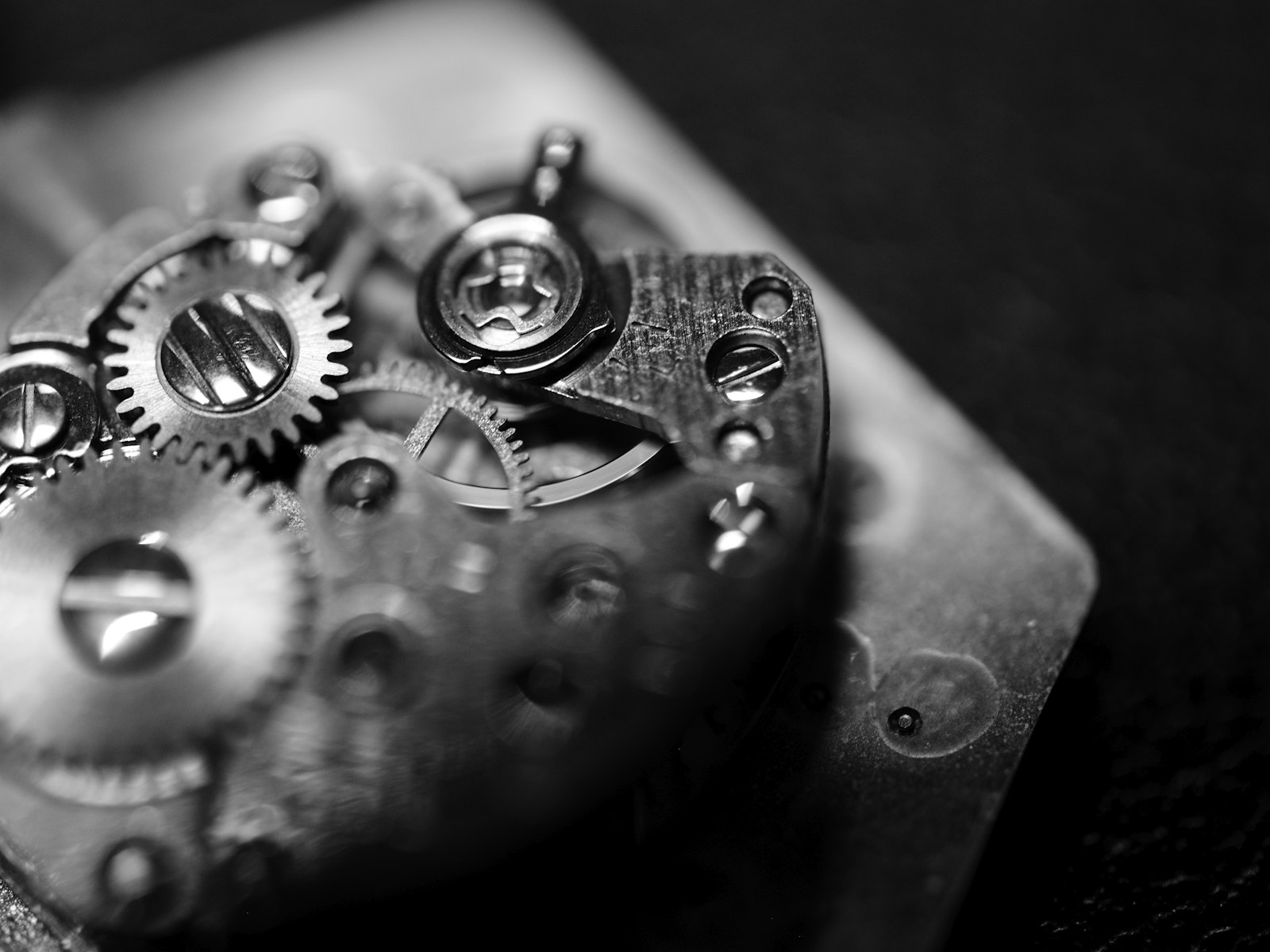 LuxScout app preview showing a watch